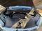2017 Honda Ridgeline RTL-T